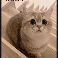 Mochi
