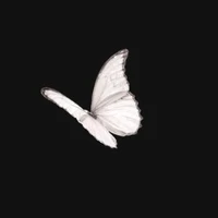 Escritora.