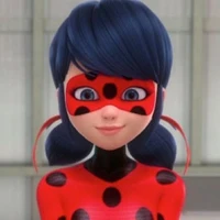 Y/N Ladybug