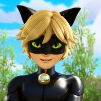 Cat Noir