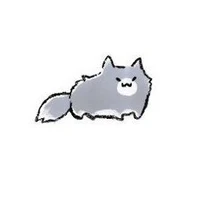 kitty~