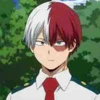 Shoto Todoroki