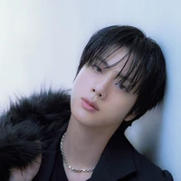 Seokjin (O.P)