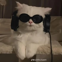 Kucing (Fell)