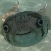 ปลากระป๋อง