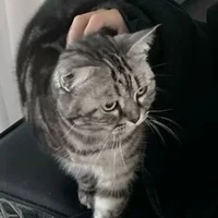 หมิว