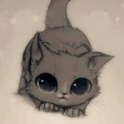 kitten