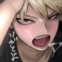 Katsuki bakuguo (D.D)