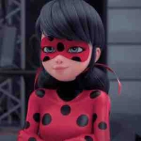 Ladybug
