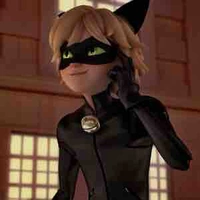 Chat Noir