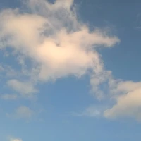 𝐴𝑢𝑡𝑜𝑟