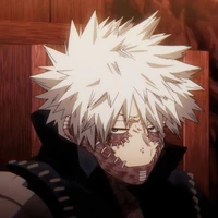 🔥Dabi•A,R•🔥