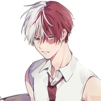 ⋆｡Shoto Todoroki𖦹 °
