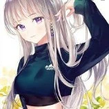layla(fl assistant)