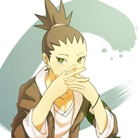 N.Shikadai