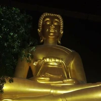 พระเดินได้
