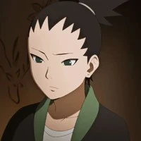 shikadai