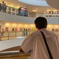 พิน[Pin]