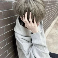 อัลกิส.การ์ดตระกูลไป๋หงส์