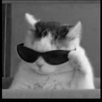 Authorshii~