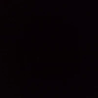 สัตว์วิญญาณ