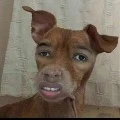 Me