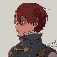 shoto todoroki