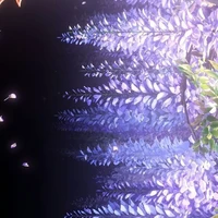 All
