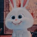 แอด🐰