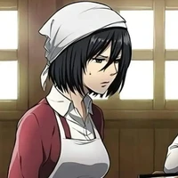 mikasa