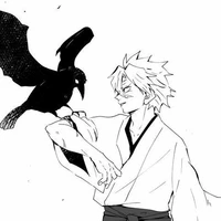sanemi shinazugawa