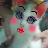 แอดเองคับ>:)