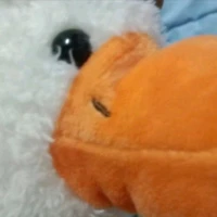 แอด เป็ดๆ