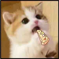 แอดเองงงง