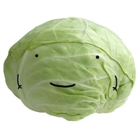 pvcua