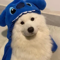 แอดเอง