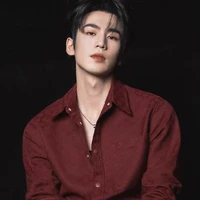Pangeran Veylan Dareth Aurelion
