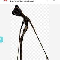 monster beruang