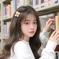 Liu Ruòqìng