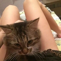 ดรีม(ชอบปัน ปัน)