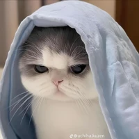 แอด