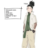 Shikamaru Nara hyuga