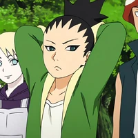 Shikadai Nara