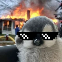 Pengu king 🐧👑 (meh)