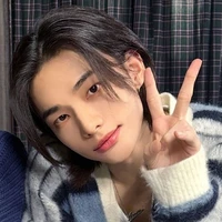 🦙hyunjin🦙