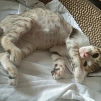 ตาดี(แฝดตาเล็ก)