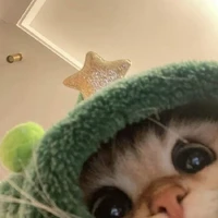 Authyyyy(⁠´⁠ ⁠.⁠ ⁠.̫⁠ ⁠.⁠ ⁠`⁠)