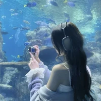 มิเกล