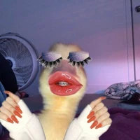 lia bebek