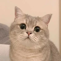 คุโร(ตอนเป็นแมว)